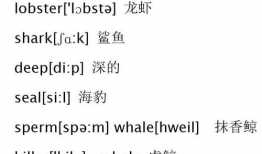 吃瓜爆料英语单词怎么写,Evaluating the Buzz: Decoding the English Vocabulary of Gossip and Rumors