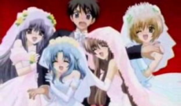 后宫动漫图片,宫廷权谋与爱恨情仇的华丽画卷